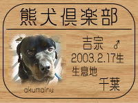 ���Ă���̂a�k�n�f�ւf�n�I